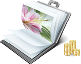 Website For Sale Icon